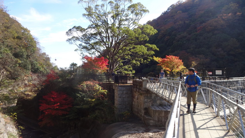f:id:shioshiohida:20161116132749j:plain f:id:shioshiohida:20161116132749j:plain