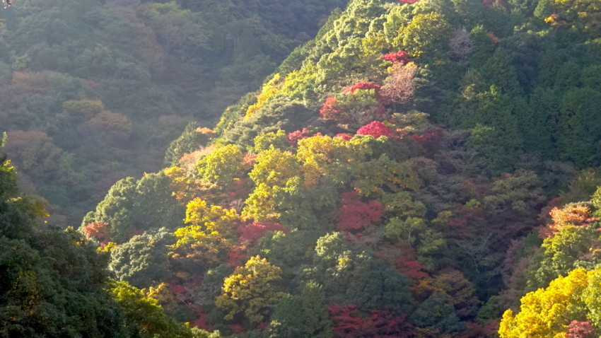 f:id:shioshiohida:20161116140458j:plain