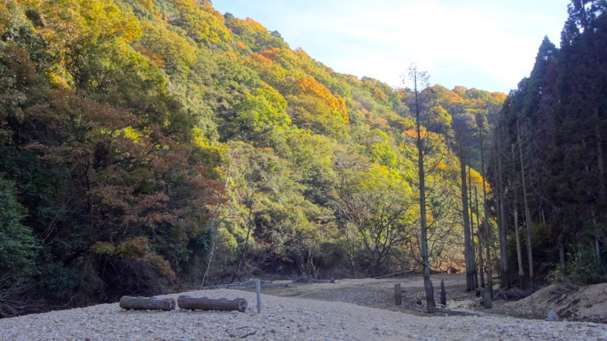 f:id:shioshiohida:20161116142900j:plain f:id:shioshiohida:20161116142900j:plain