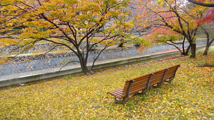 f:id:shioshiohida:20161121111439j:plain f:id:shioshiohida:20161121111439j:plain