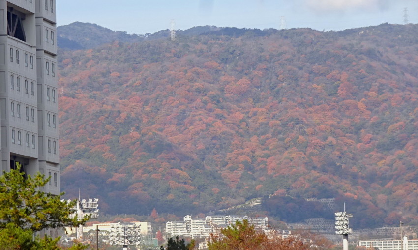 f:id:shioshiohida:20161208112359j:plain f:id:shioshiohida:20161208112359j:plain