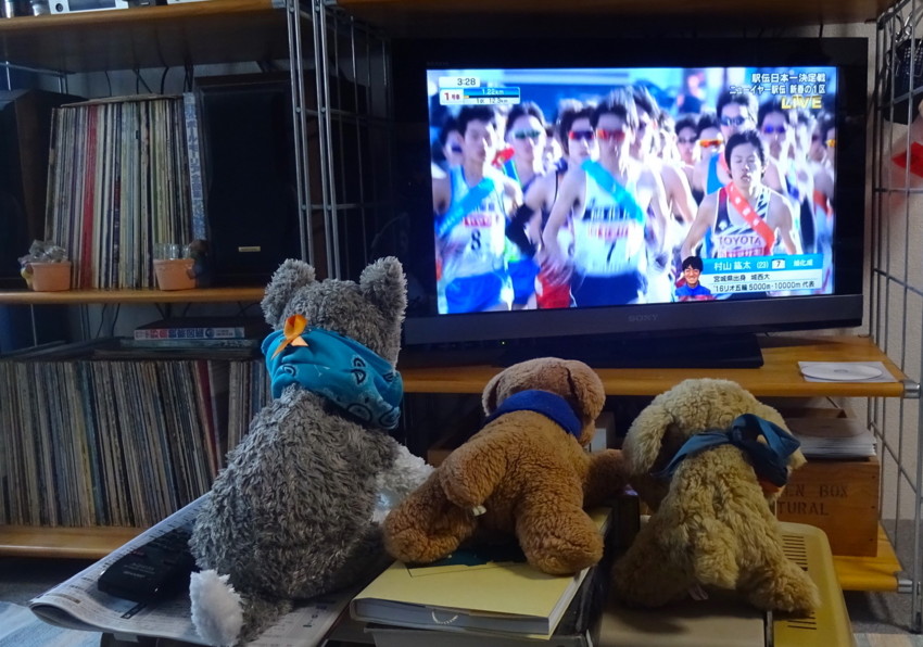 f:id:shioshiohida:20170101091714j:plain