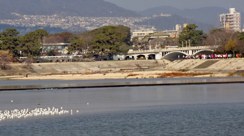 f:id:shioshiohida:20170103102458j:plain