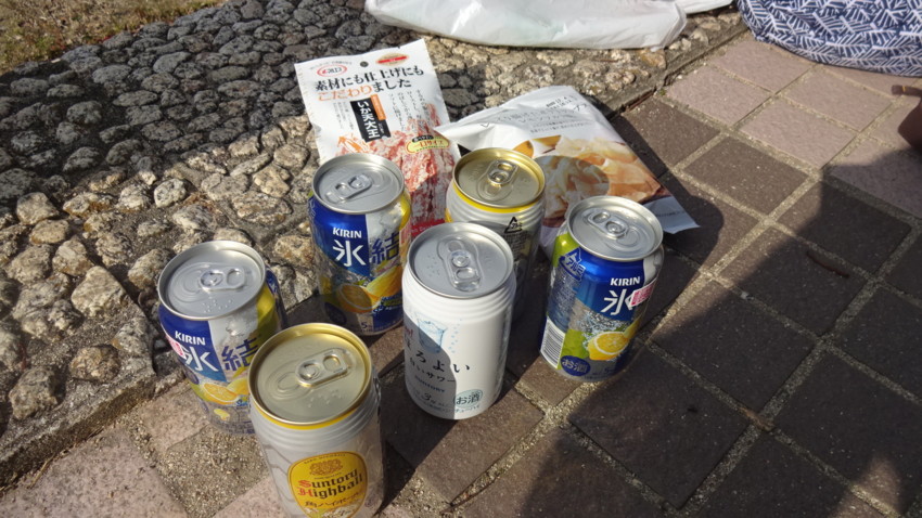 f:id:shioshiohida:20170103121113j:plain