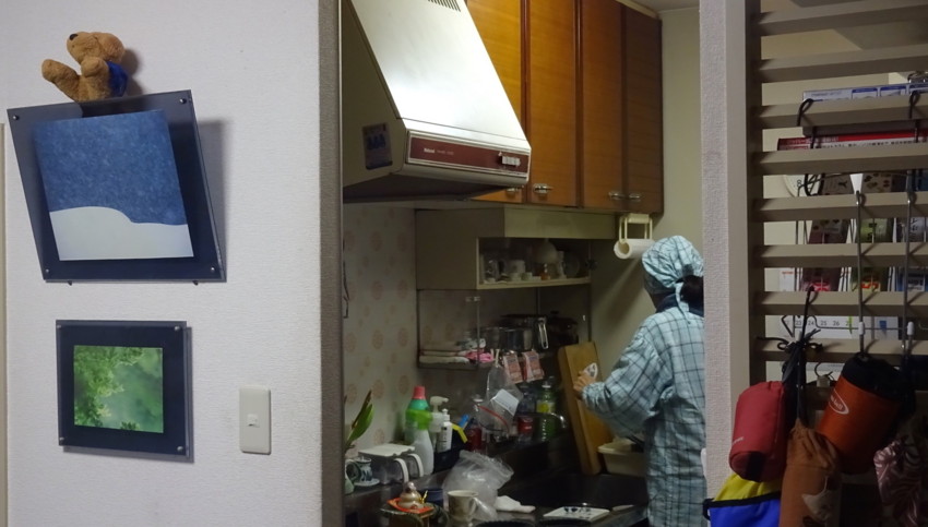 f:id:shioshiohida:20170103193616j:plain