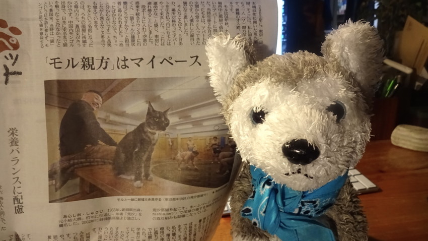 f:id:shioshiohida:20170117230757j:plain f:id:shioshiohida:20170117230757j:plain