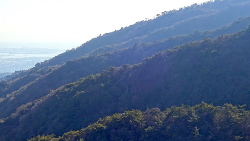 f:id:shioshiohida:20170312154852j:plain f:id:shioshiohida:20170312154852j:plain