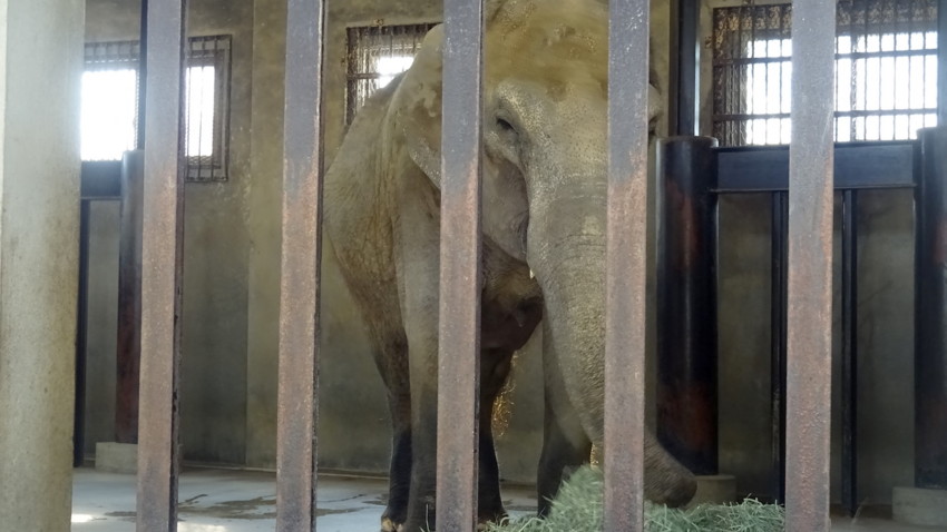 f:id:shioshiohida:20170329155655j:plain f:id:shioshiohida:20170329155655j:plain