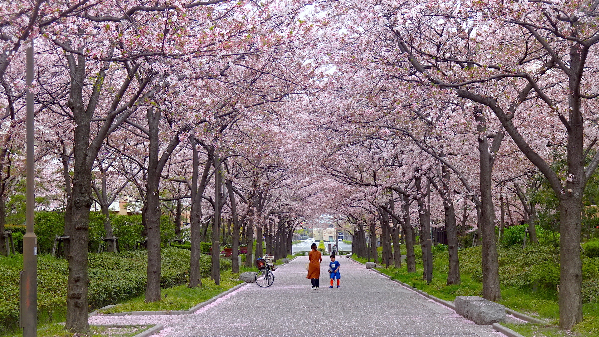 http://cdn-ak.f.st-hatena.com/images/fotolife/s/shioshiohida/20170415/20170415112333_original.jpg