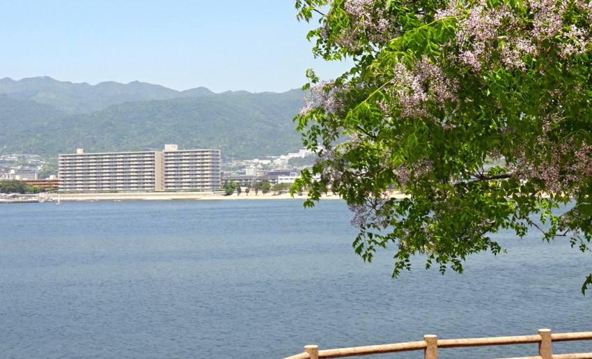 f:id:shioshiohida:20170519111216j:plain f:id:shioshiohida:20170519111216j:plain