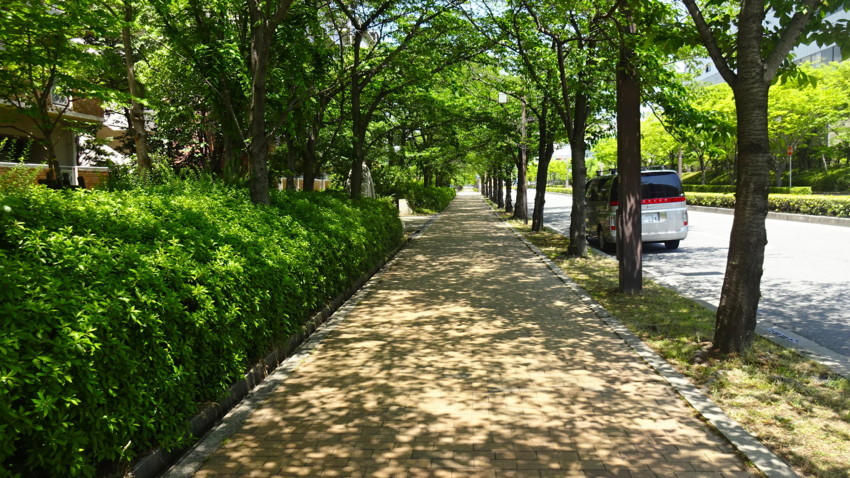 f:id:shioshiohida:20170523114821j:plain f:id:shioshiohida:20170523114821j:plain