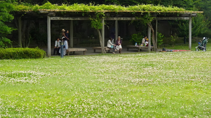 f:id:shioshiohida:20170606151139j:plain f:id:shioshiohida:20170606151139j:plain