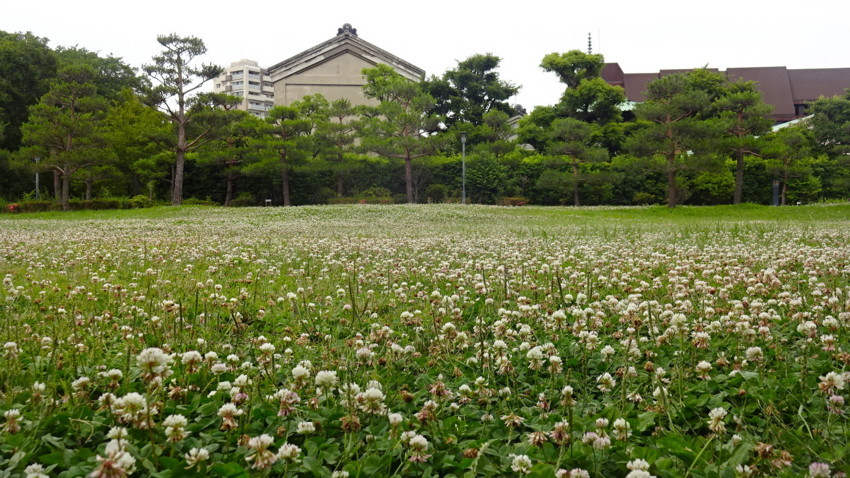 f:id:shioshiohida:20170606152100j:plain f:id:shioshiohida:20170606152100j:plain