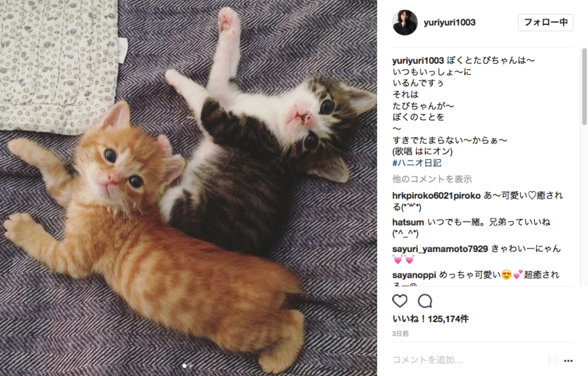 f:id:shioshiohida:20170723094809p:plain f:id:shioshiohida:20170723094809p:plain