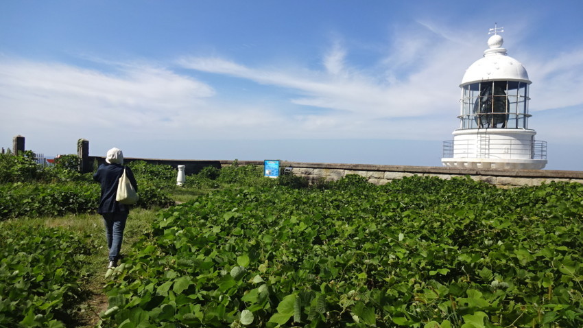 f:id:shioshiohida:20170827142624j:plain