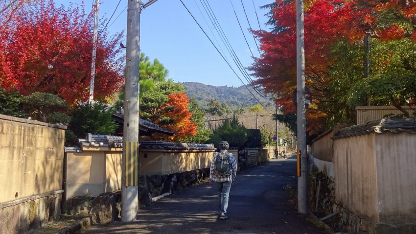 f:id:shioshiohida:20171127114419j:plain f:id:shioshiohida:20171127114419j:plain