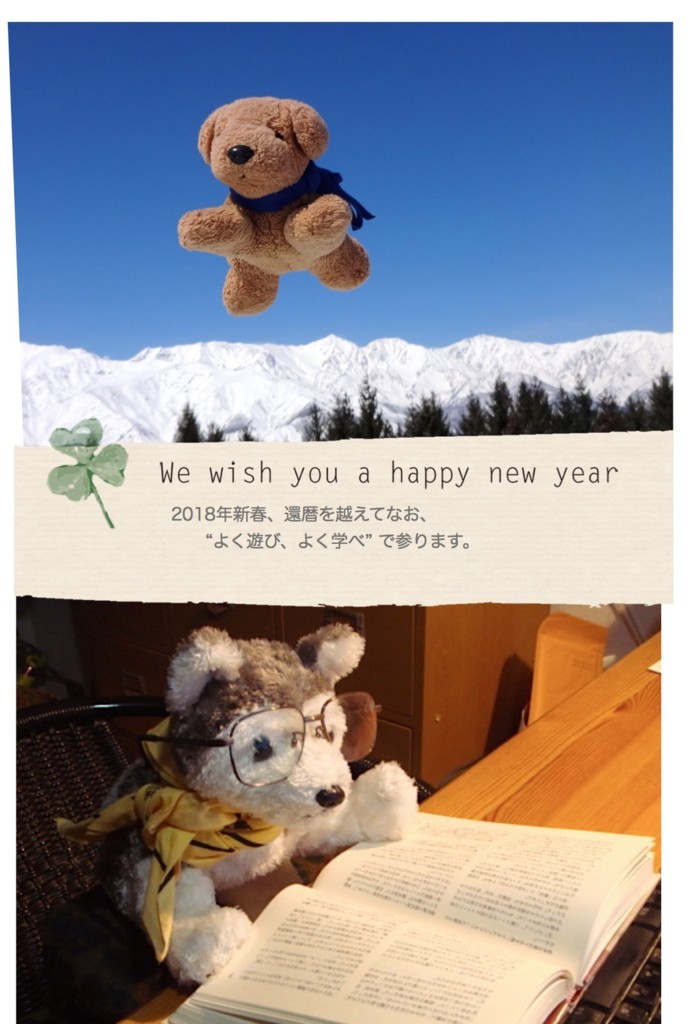 f:id:shioshiohida:20180102001009j:plain f:id:shioshiohida:20180102001009j:plain
