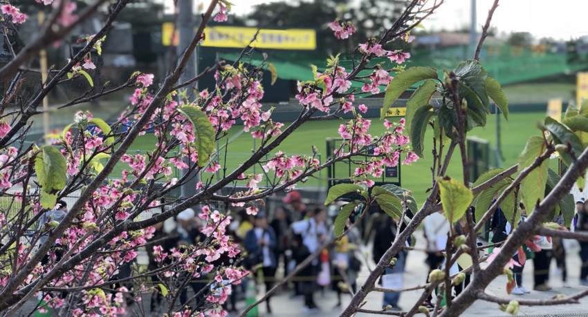 f:id:shioshiohida:20180202002222j:plain