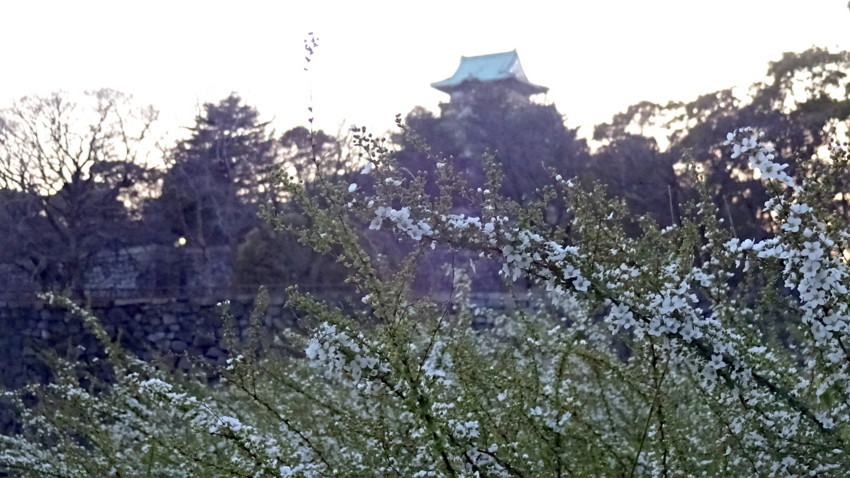f:id:shioshiohida:20180317180505j:plain f:id:shioshiohida:20180317180505j:plain