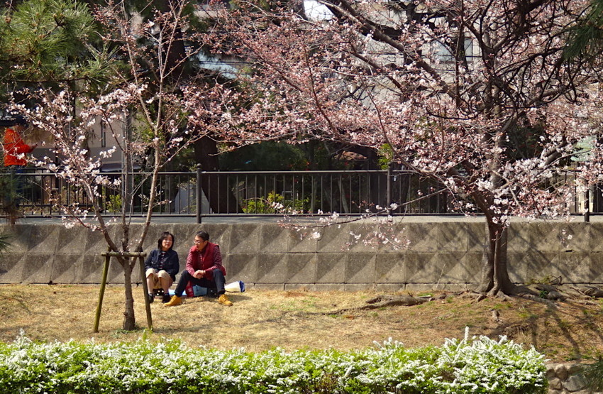 f:id:shioshiohida:20180325113609j:plain