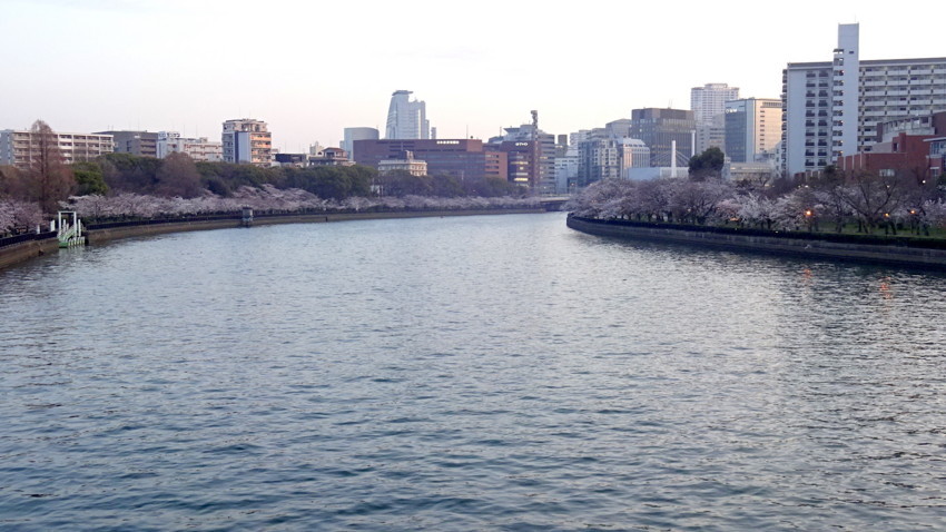 f:id:shioshiohida:20180326180913j:plain f:id:shioshiohida:20180326180913j:plain