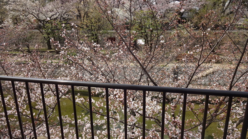 f:id:shioshiohida:20180327112142j:plain f:id:shioshiohida:20180327112142j:plain