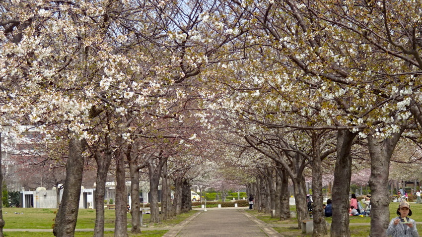 f:id:shioshiohida:20180327113937j:plain f:id:shioshiohida:20180327113937j:plain