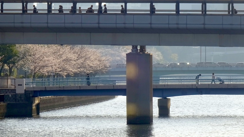 f:id:shioshiohida:20180327162908j:plain f:id:shioshiohida:20180327162908j:plain