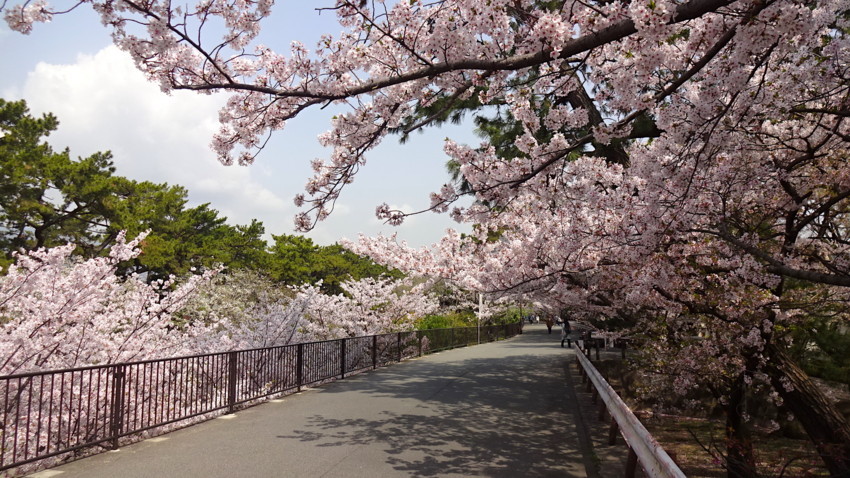 f:id:shioshiohida:20180402102313j:plain f:id:shioshiohida:20180402102313j:plain