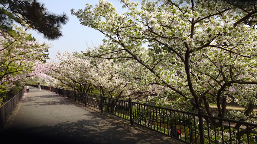 f:id:shioshiohida:20180402102602j:plain f:id:shioshiohida:20180402102602j:plain