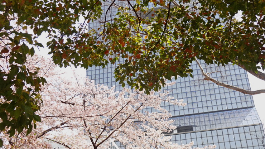 f:id:shioshiohida:20180402112115j:plain f:id:shioshiohida:20180402112115j:plain