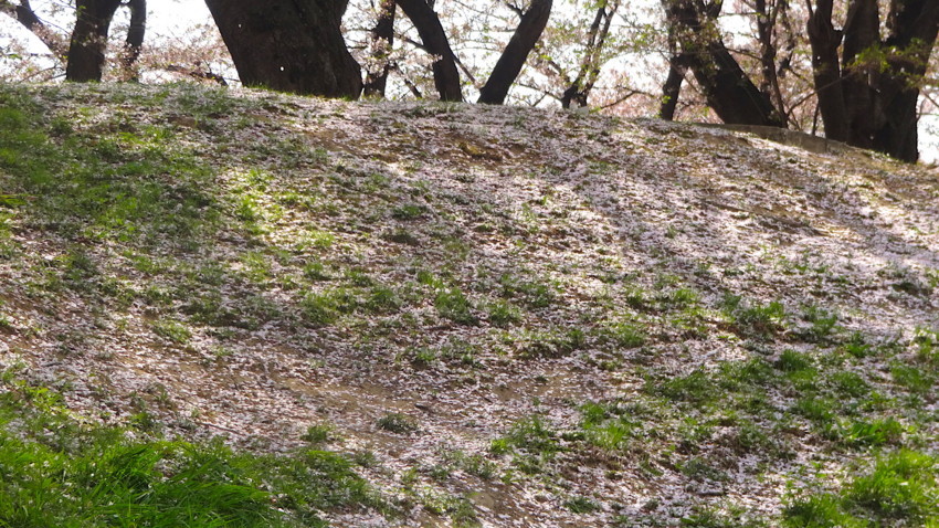f:id:shioshiohida:20180403131258j:plain f:id:shioshiohida:20180403131258j:plain