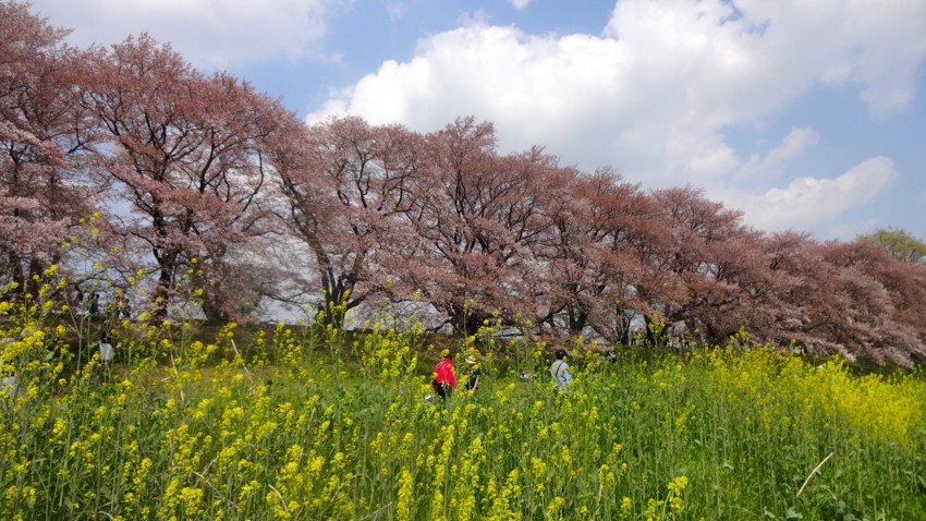 f:id:shioshiohida:20180403132807j:plain f:id:shioshiohida:20180403132807j:plain