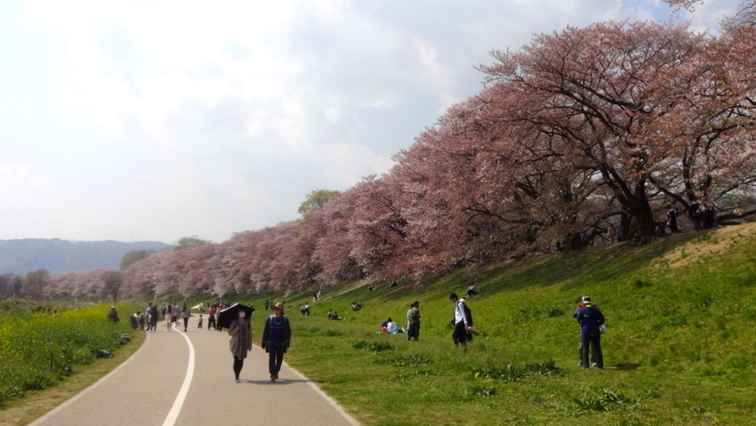 f:id:shioshiohida:20180403133313j:plain f:id:shioshiohida:20180403133313j:plain