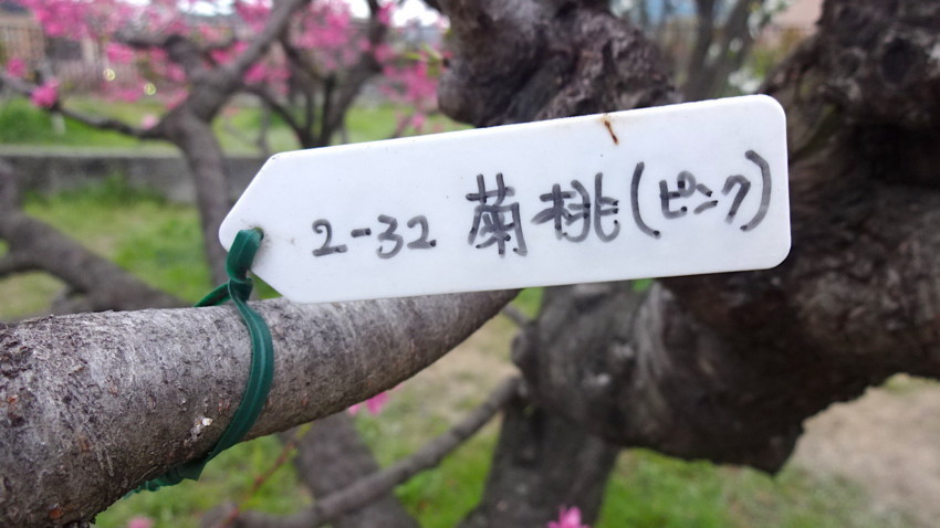 f:id:shioshiohida:20180405175120j:plain f:id:shioshiohida:20180405175120j:plain