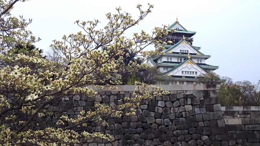 f:id:shioshiohida:20180405180056j:plain f:id:shioshiohida:20180405180056j:plain