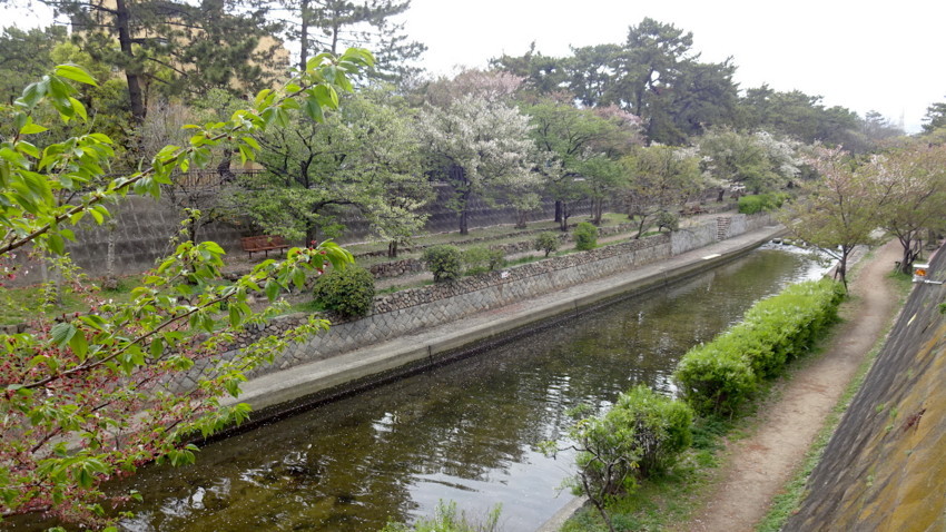 f:id:shioshiohida:20180407095451j:plain f:id:shioshiohida:20180407095451j:plain