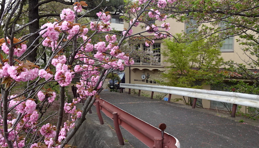 f:id:shioshiohida:20180407095511j:plain f:id:shioshiohida:20180407095511j:plain