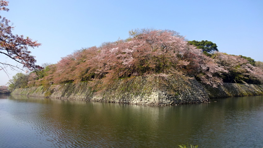 f:id:shioshiohida:20180410095134j:plain f:id:shioshiohida:20180410095134j:plain