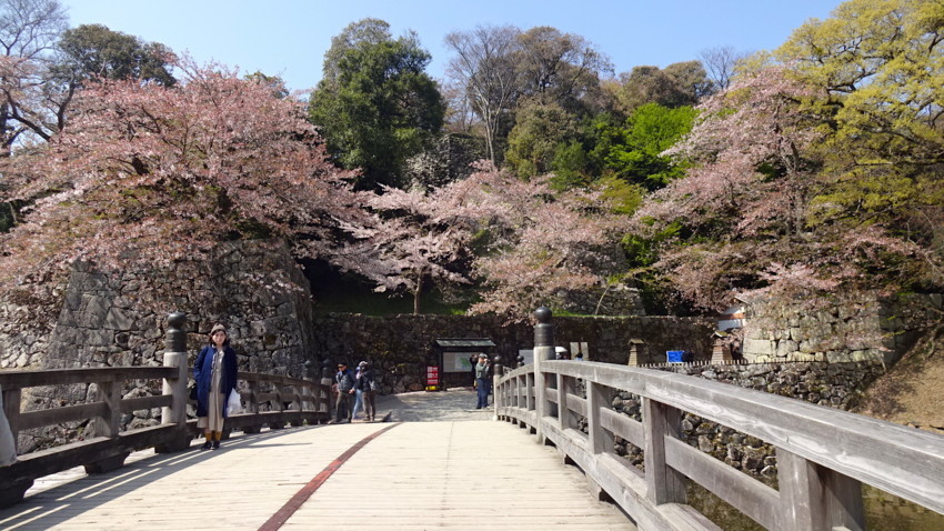 f:id:shioshiohida:20180410100212j:plain f:id:shioshiohida:20180410100212j:plain