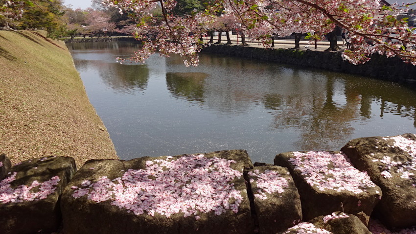 f:id:shioshiohida:20180410100601j:plain f:id:shioshiohida:20180410100601j:plain