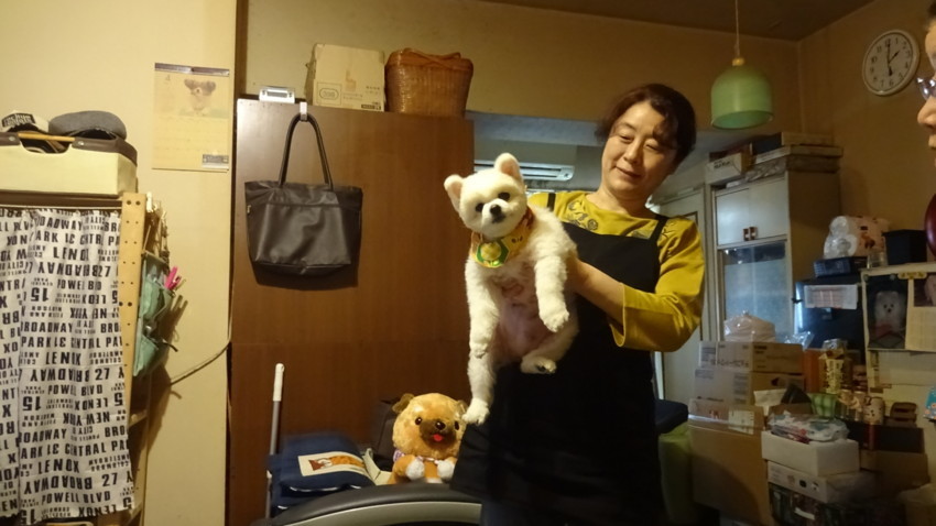 f:id:shioshiohida:20180410135741j:plain f:id:shioshiohida:20180410135741j:plain
