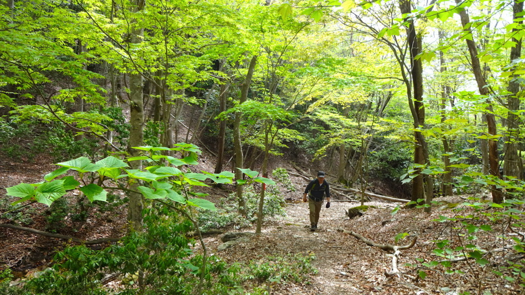 f:id:shioshiohida:20180422110619j:plain f:id:shioshiohida:20180422110619j:plain