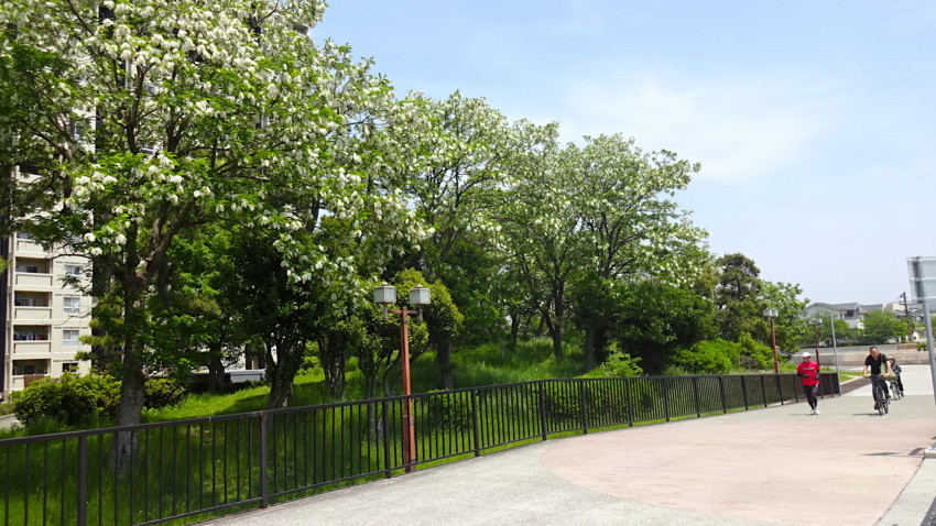 f:id:shioshiohida:20180501115034j:plain f:id:shioshiohida:20180501115034j:plain
