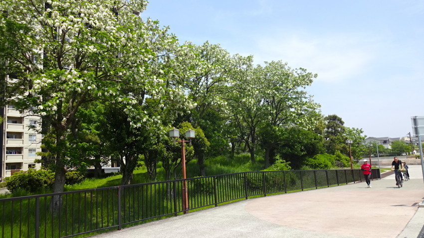 f:id:shioshiohida:20180501115036j:plain f:id:shioshiohida:20180501115036j:plain