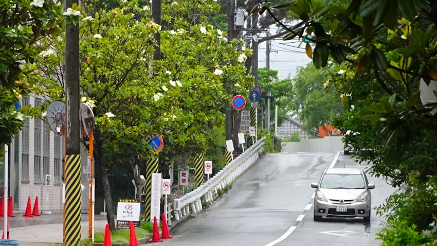 f:id:shioshiohida:20180523093656j:plain f:id:shioshiohida:20180523093656j:plain