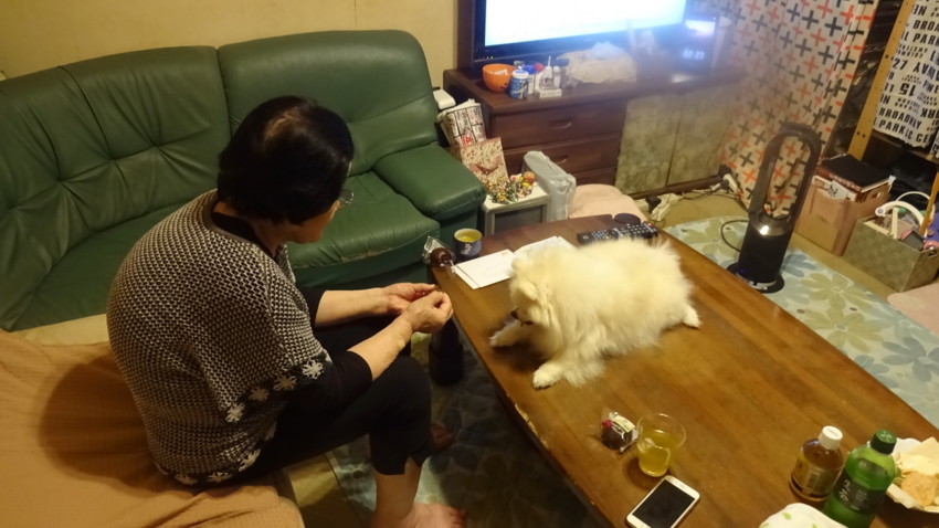 20180731141951