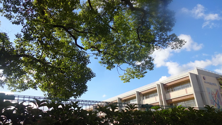 f:id:shioshiohida:20180731161328j:plain