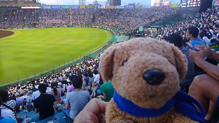 f:id:shioshiohida:20180812184143j:plain