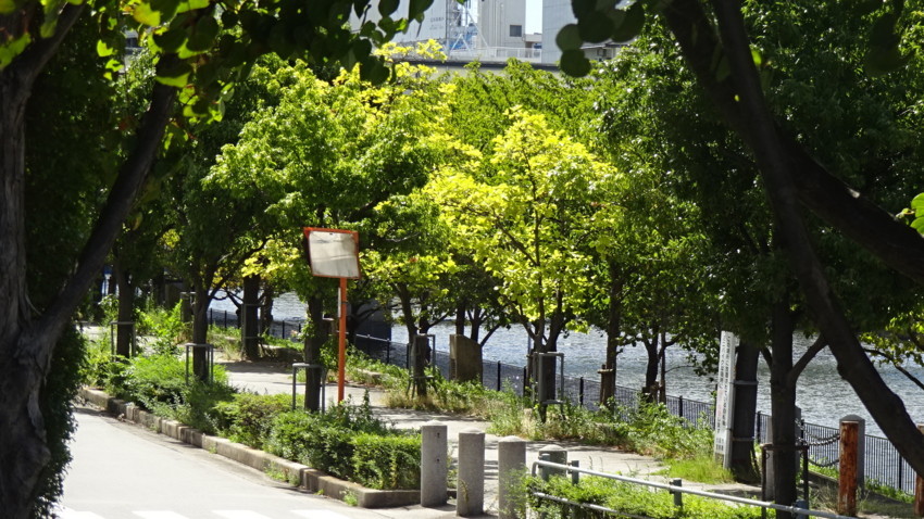 f:id:shioshiohida:20180822142426j:plain f:id:shioshiohida:20180822142426j:plain